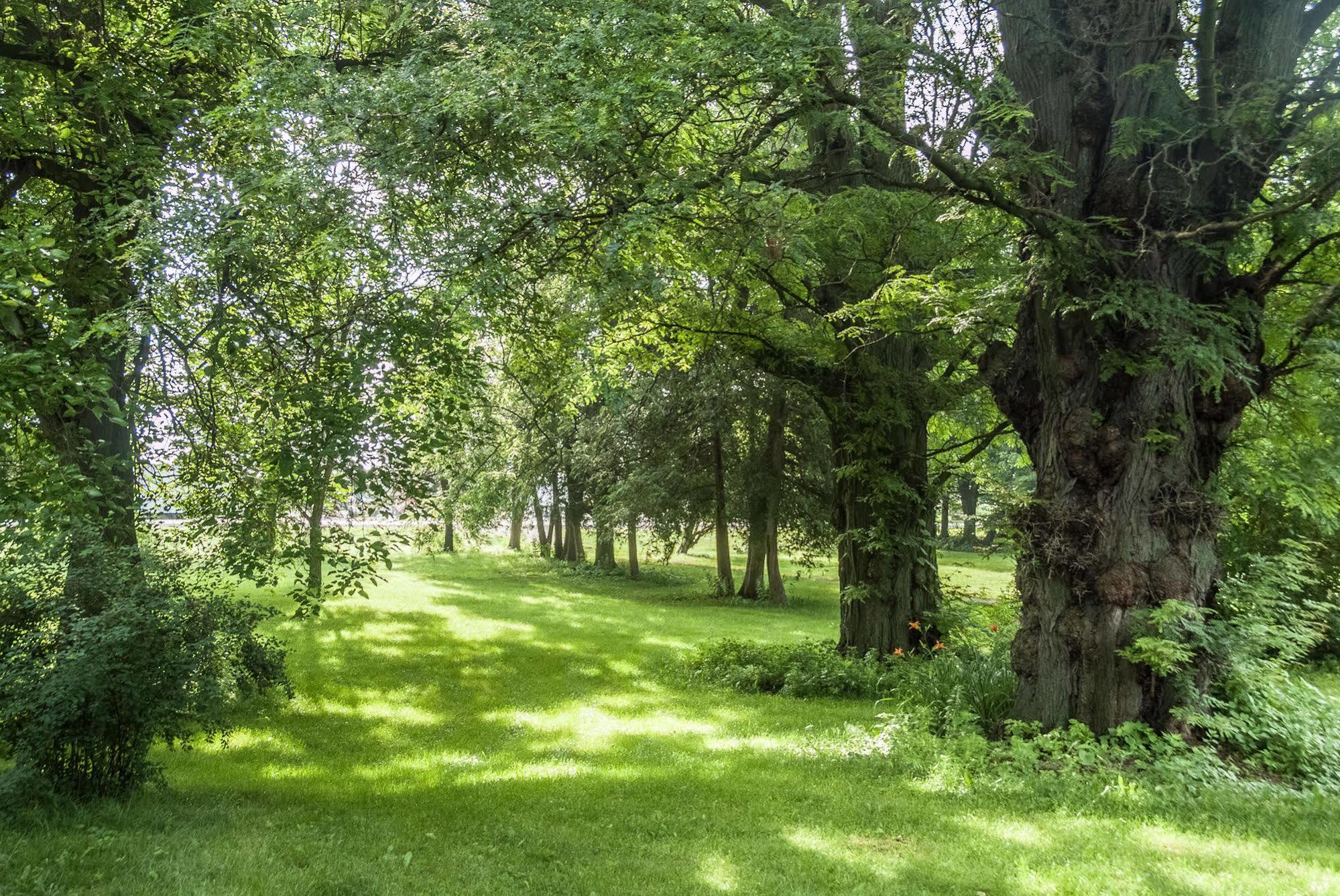 Culverdene House Simcoe Dış mekan fotoğraf