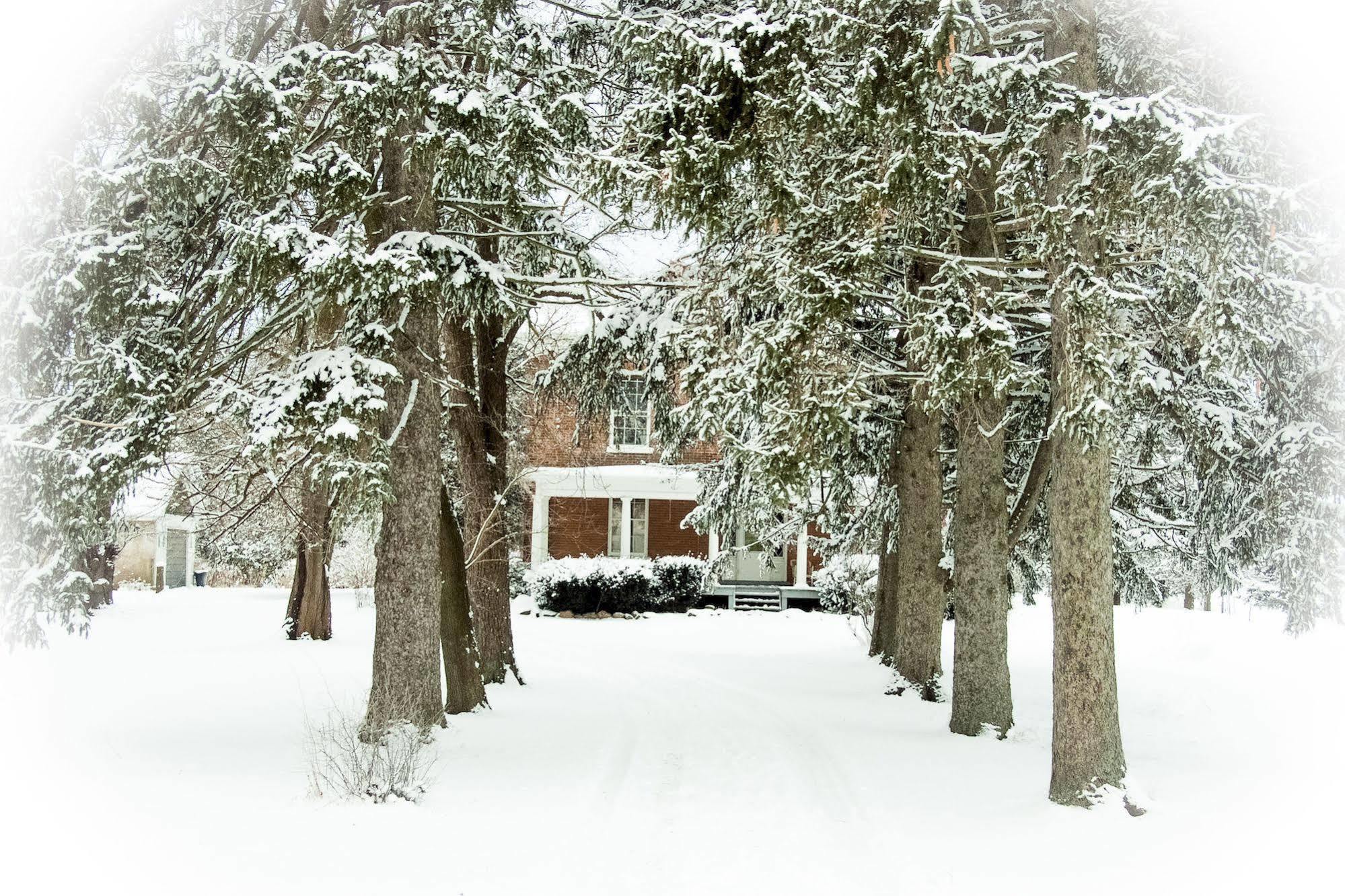 Culverdene House Simcoe Dış mekan fotoğraf